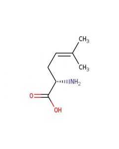 Astatech (S)-2-AMINO-5-METHYLHEX-4-ENOIC ACID; 0.25G; Purity 95%; MDL-MFCD10565736